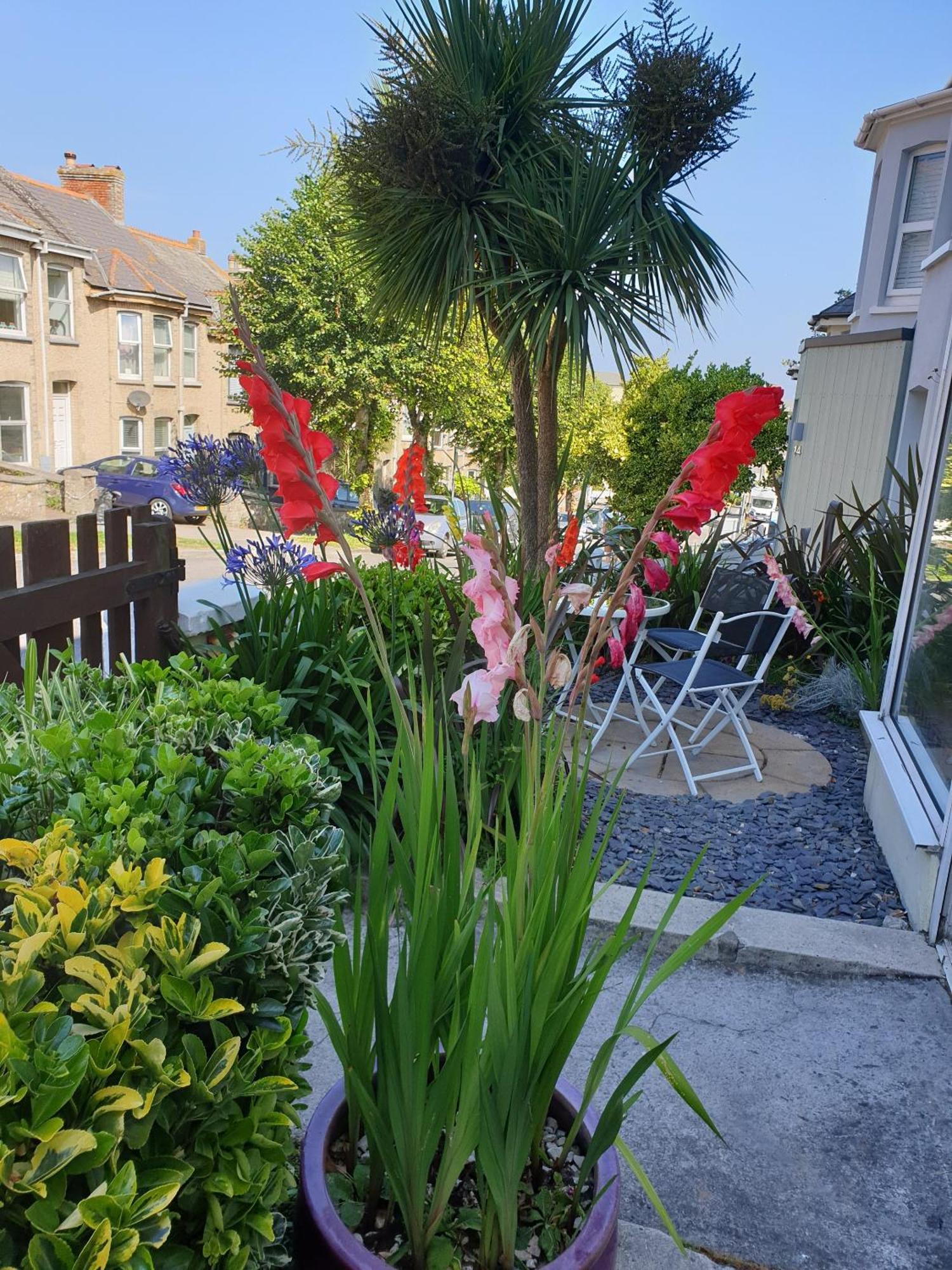 Fairways Guest House New Quay Exterior foto